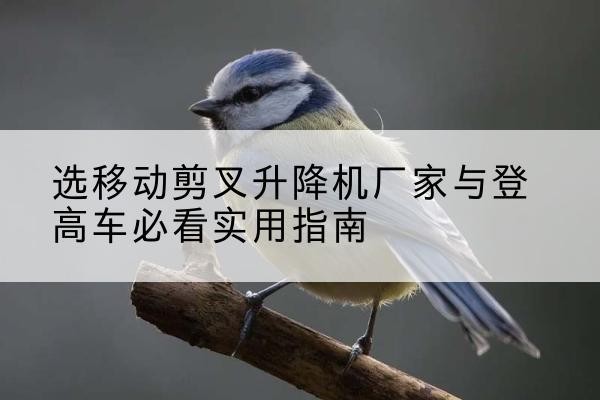 岳阳电动升降机厂家-选移动剪叉升降机厂家与登高车必看实用指南