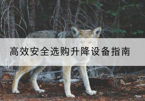 岳阳升降货梯厂家推荐-*安全选购升降设备指南
