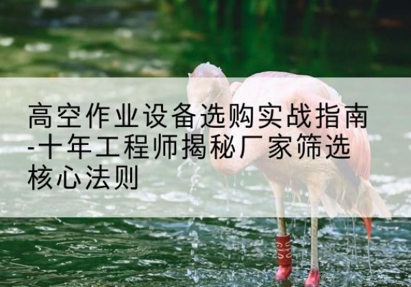 岳阳剪叉式升降机厂家-高空作业设备选购实战指南-十年工程师揭秘厂家筛选核心法则